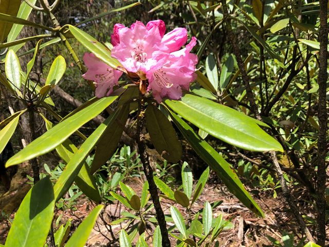 tarřR̃qmLEVNiQESE}c̓eʐ^4