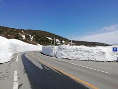 ܂ڂ񂳂̑GR[Cւ̓eʐ^1