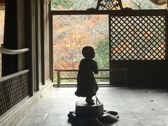 おとうさんさんの高山寺（京都府京都市）の投稿写真1