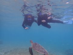 {Ó ADVENTURE PiPi̎ʐ^1