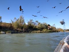 䂤񂳂̓VaDւ̓eʐ^1