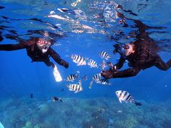 ܂ƂKofa@and PuPuւ̓eʐ^1