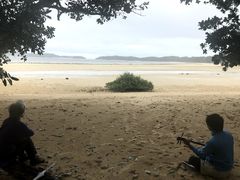 �Ȃ��[���Ⴓ��̂������ȁ[�Ί_���ւ̓��e�ʐ^1