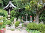 �͒j�N�����脉���V�̓��e�ʐ^1