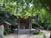 �͒j�N����̐_�厛�̓��e�ʐ^2