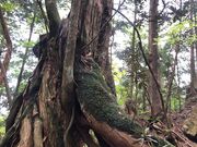 tarřR̃qmLEVNiQESE}c̓eʐ^2