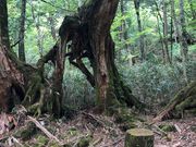 tarřR̃qmLEVNiQESE}c̓eʐ^3