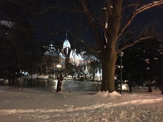 ���C�g�A�b�v�����Y��_�k�C�������{����(�Ԃ�񂪒���)