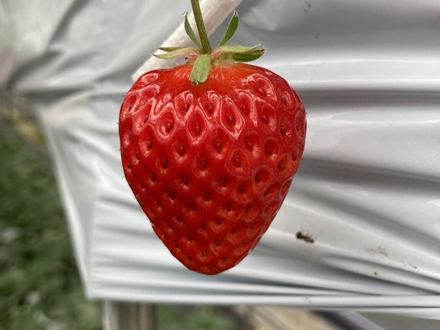 ������������������_�x�ÃA�N�A�t�@�[��