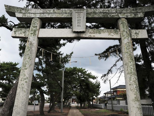 �����B_�Ŗ��l�_��