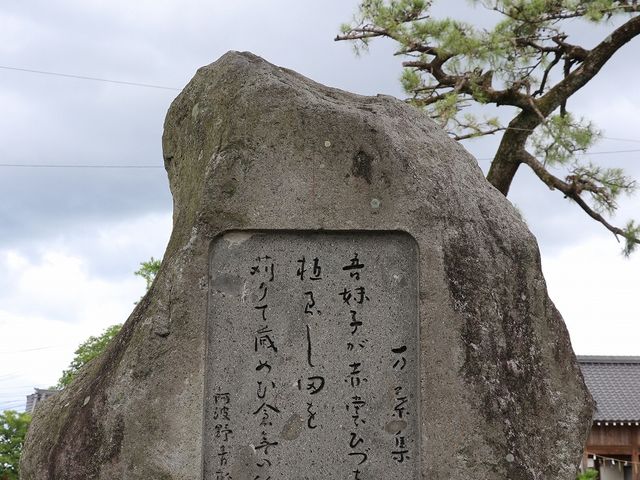 ���t�̔�B_�Ŗ��l�_��