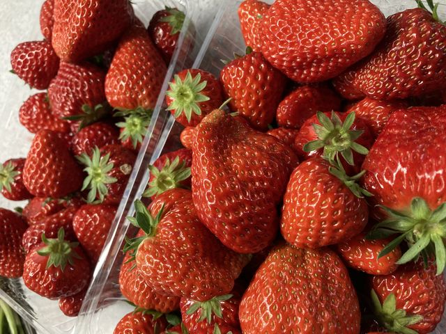 �����A�肵���C�`�S�I�ʂ蔄��Ŏ����A����ł��܂��B_���c�������t�@�[��