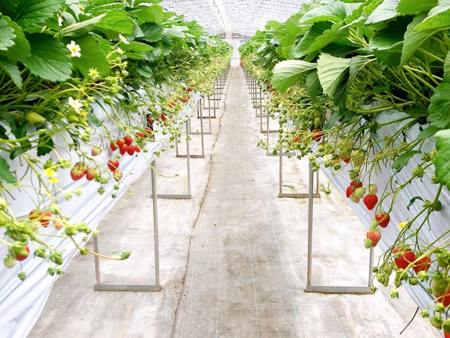 �n�E�X�̒��͍L���Ă��ꂢ�ł����`�I_���c�������t�@�[��