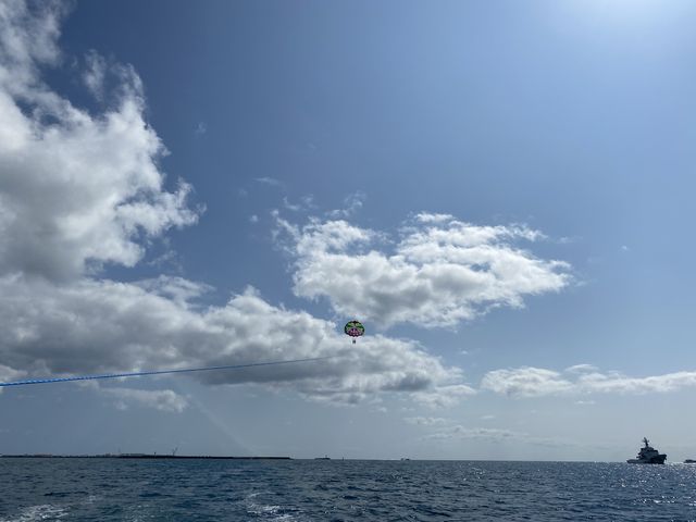 ���S�n�Ƃ��Ă͍����̊��ɑS�R�h�ꂸ���肵�Ă܂��B_�Ί_���u���[�V�[�T�[