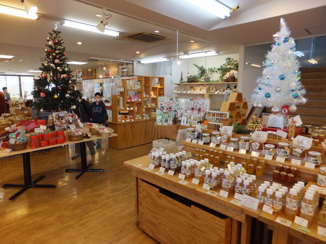 X̗lq_Rc{IꂨَqH[ ԂԂt@Ng[