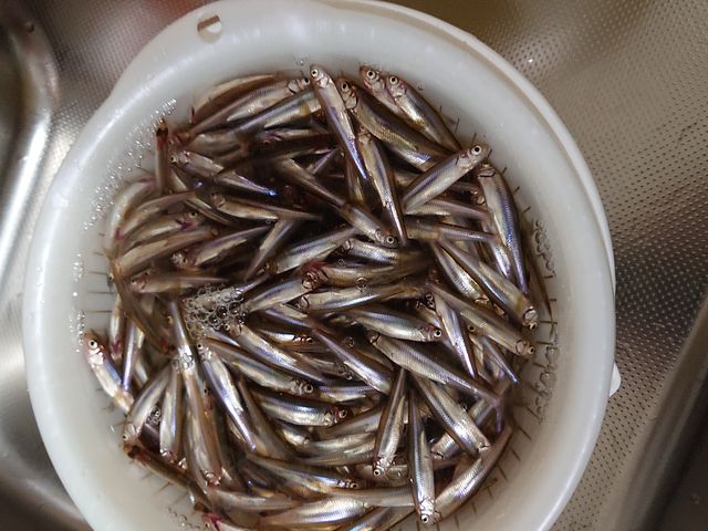 ��ʂł��B_HORTO�D�y