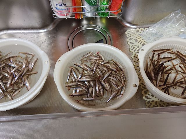 �[�т��V�Ղ�ł��B_HORTO�D�y