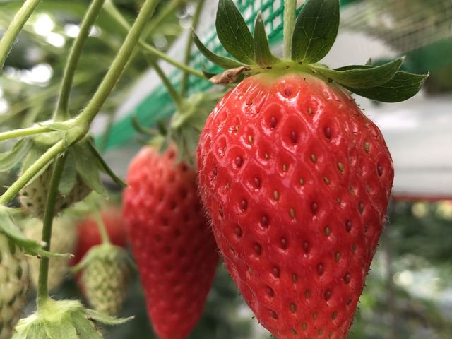 �͕P_�����o�v�_��