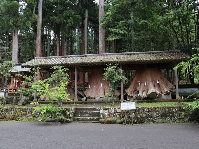 �|�󂵂����̐؊��B_�F�ފ�����_��