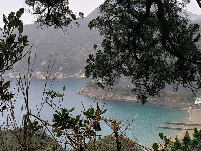 ���c���݂ɊC�̓����x�������Ƃ�m�����B_��Ԑ_��