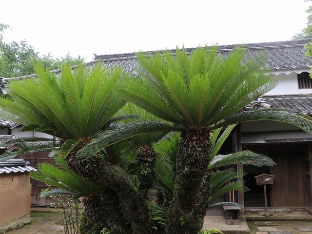 �������Ă����B_���@