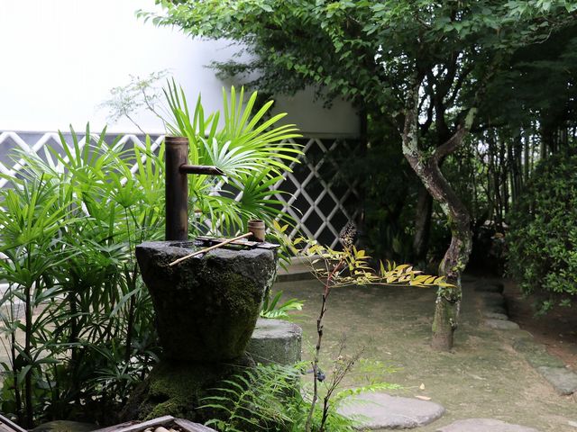 �萅���B_���@