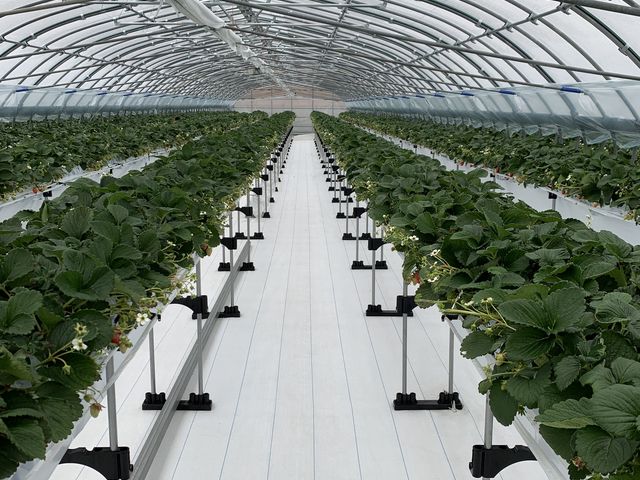 So clean and white. Felt like it would go forever!_�A�O�������X�^�[�X�y�V����