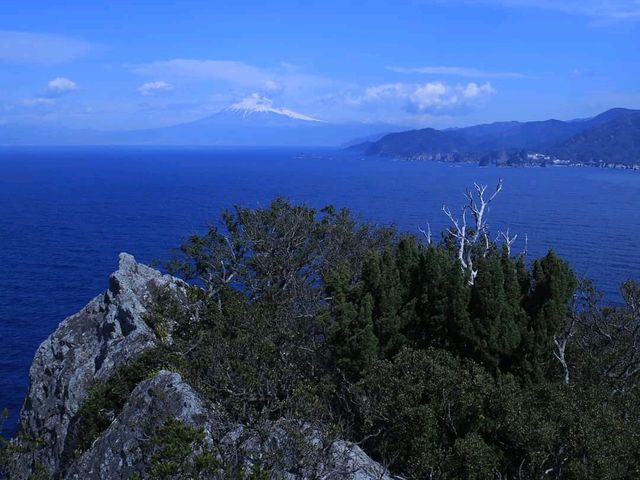 ��������X�΂��L�c�C�K�i���C���ɂȂ�������܂������̐�ɐ�i���҂��Ă܂��A�̗͂Ɏ��M�̂��������B_��Ԑ_��