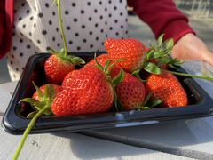 Njoumonfarmi傤ӂ[ށjւ̓eʐ^1