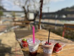 Strawberry Farm No.15 ithe Farm UNIVERSAL jւ̓eʐ^2