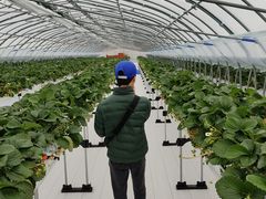 Ȃ̃AOX^[XyVւ̓eʐ^1