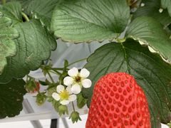 T[̃AOX^[XyVւ̓eʐ^1