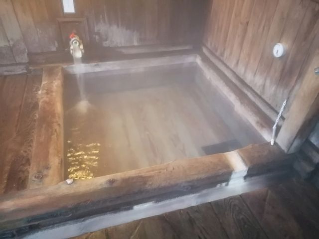 �M�߂̓��́A���C�`�Ȃ̂œ�������_�����̓�