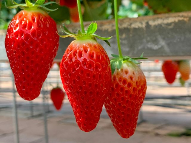 �Â��C�`�S_������������