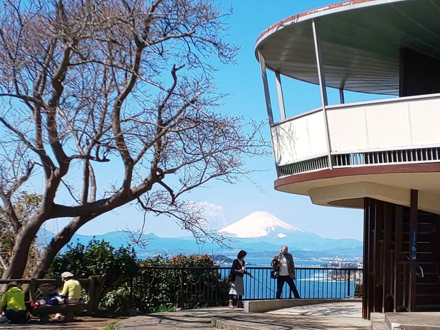 ����1�T�ԑ����������ȁH_��I�R����