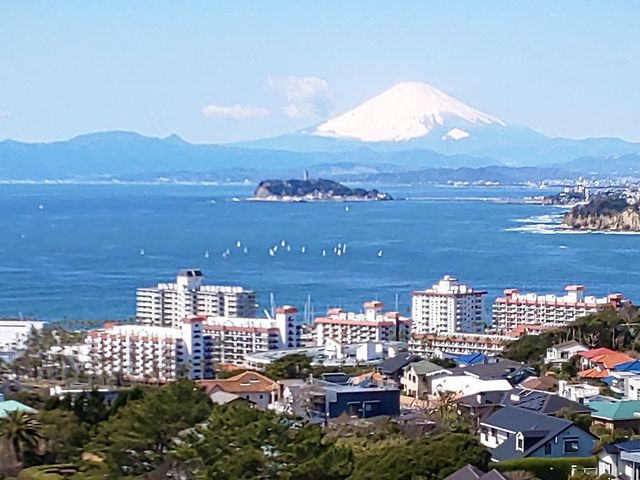 �J�オ��̗����ŕ��������X�b�L���x�m�R�������Ă��܂����B_��I�R����