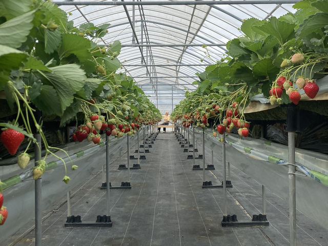 IɂȂĂ̂Ŏ₷łB_䂵䕉