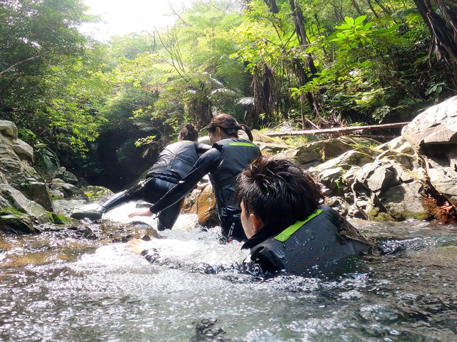 ��ɋt�炢�Ȃ�������w���o�[�N���C�~���O�x
���[�v�ň����Ă����̂ň��S���Ċy�����ł��܂����I_TarzanWorld