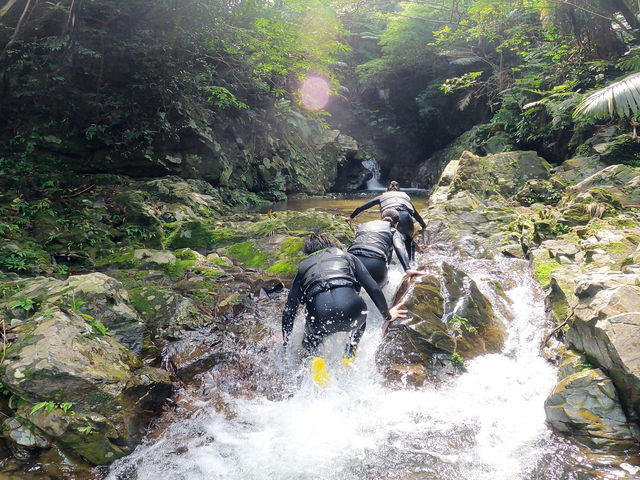 �f�G�Ȏʐ^�����肪�Ƃ��������܂����I_TarzanWorld