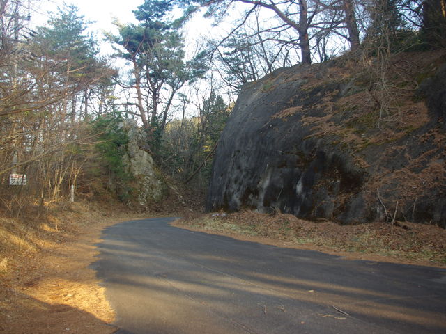 ^{剤̗i쌧{sj̓eʐ^1