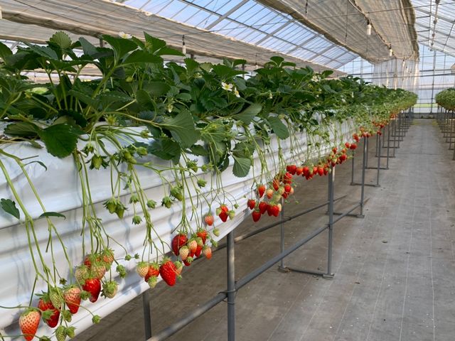 ��܂ŐԂ��Ȃ�n��Ă��܂�_��������������