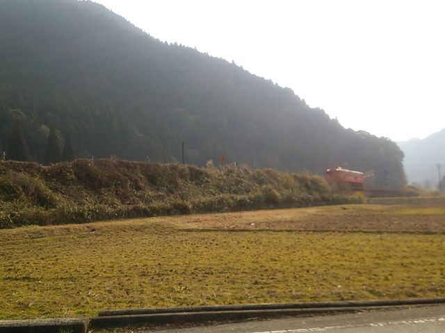 �k�̑厩�R�ɍs���Ȃ��Ă������ɂ������i�F������܂��B_���̂��n��