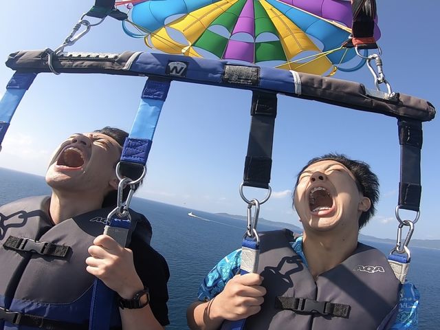 ���ɂȂ��Ă���l�q�ł��B_�Ί_���u���[�V�[�T�[