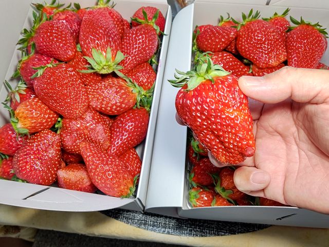 ���y�Y�Ŗ�����C�`�S�ł�_�������̉���