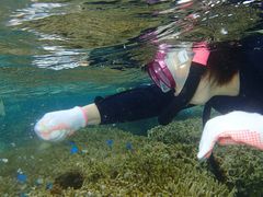 mh̐̓A@Dive@ւ̓eʐ^1