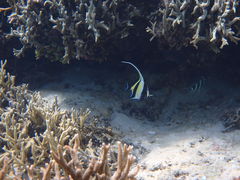 Nature Guide Double Rainbow lC`[KCh@_uC{[̎ʐ^2