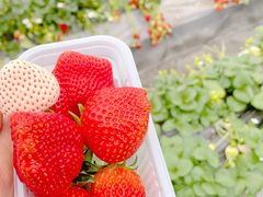 703̃Xgx[h}ւ̓eʐ^1