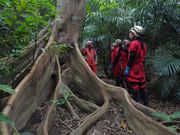 Cl̐\Ahx`[cA[Cli݂[j̓eʐ^2