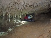 Cl̐\Ahx`[cA[Cli݂[j̓eʐ^3