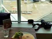 `Rp̃LxEA[[iCampbell Earlyj̓eʐ^1